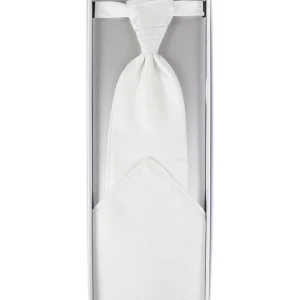 Seidenfalter Plastron Und Einstecktuch Im Set – Silber 7