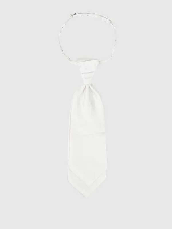 Seidenfalter Plastron Und Einstecktuch Im Set – Silber 1